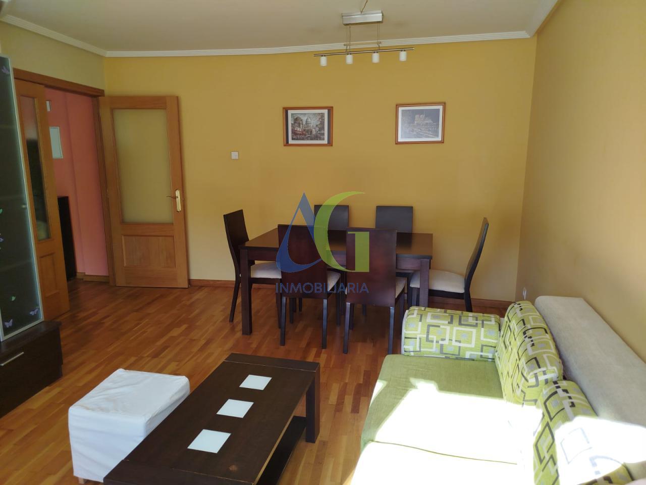 SE ALQUILA APARTAMENTO DE 1 HABITACION EN VILLAOBISPO