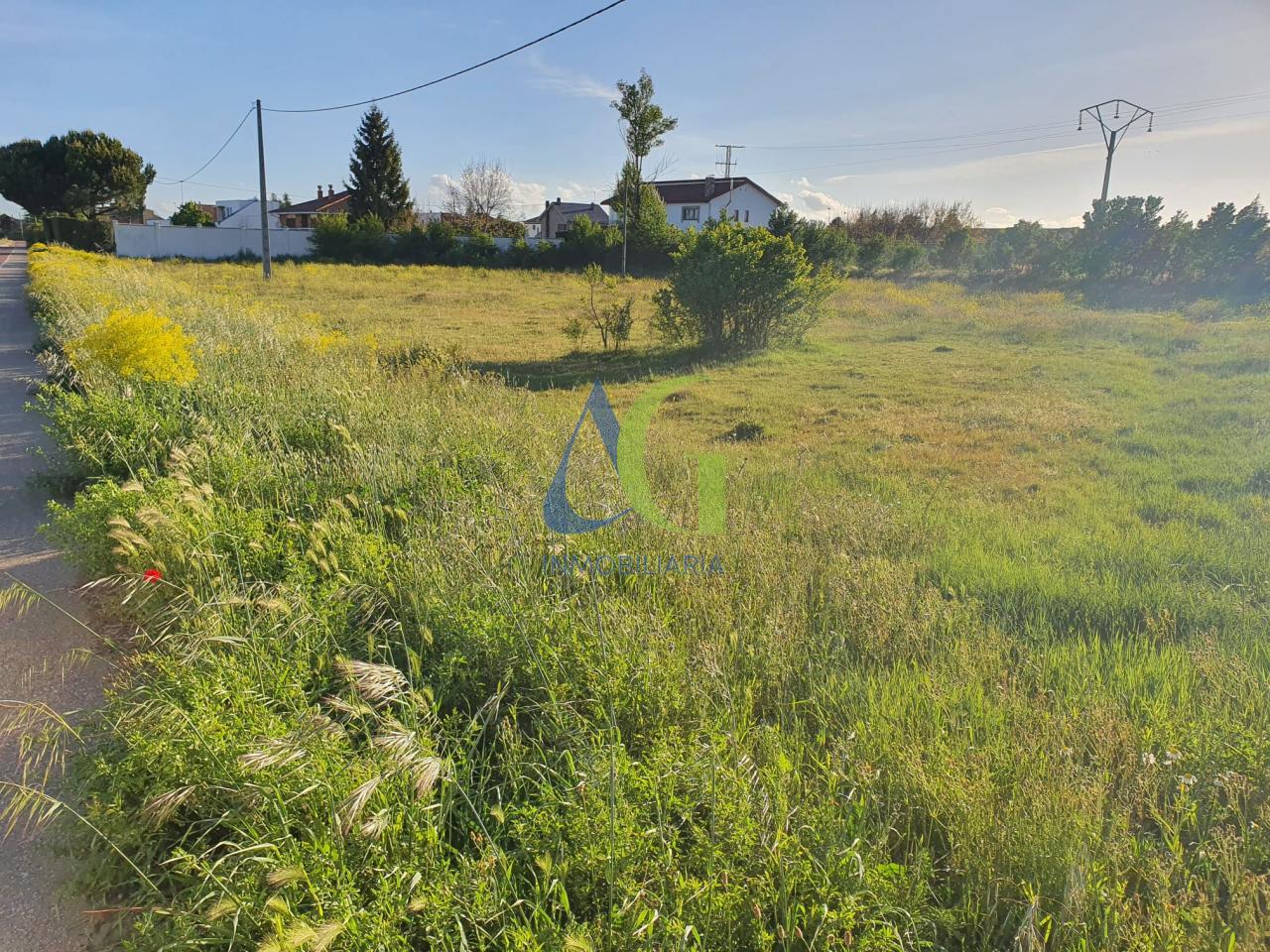 SE VENDE FINCA  URBANA EN VILLARRODRIGO DE 3.471M