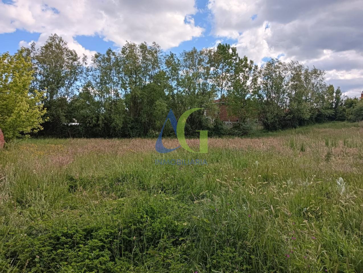 SE VENDE FINCA URBANA DE 2.800  METROS  EN LORENZANA